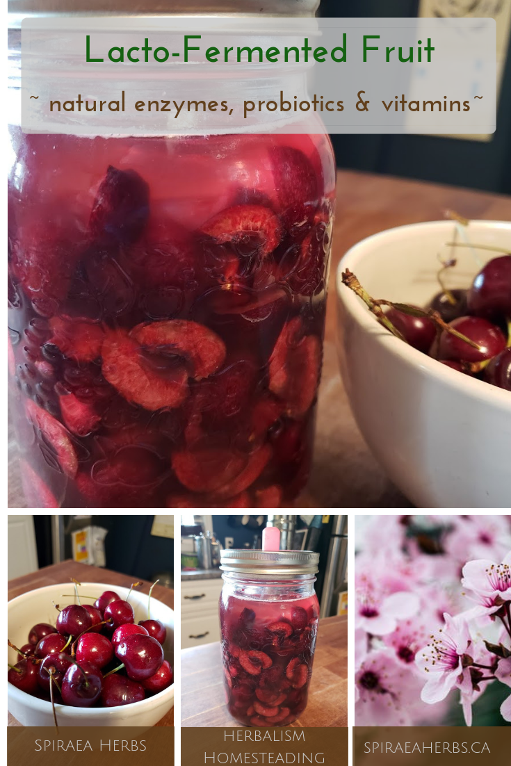 How To Lacto-Ferment Berries